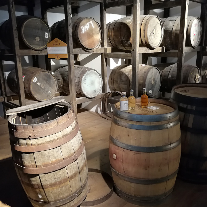 Teeling Whiskey Distillery (The Spirit of Dublin Irish Whisky Tour Experience Triple Distilled Dram BarleyMania)