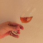 The Journey by Glen Els (Harzer Single Malt Whisky Germany Hammerschmiede Dram BarleyMania)