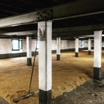 Laphroaig Distillery Tour and Bottling (Islay Peated Single Malt Scotch Whisky Experience BarleyMania)