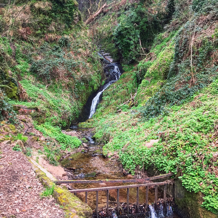 Glengoyne Distillery Wee Tasting Tour (Highland Single Malt Scotch Whisky Experience Glasgow BarleyMania)
