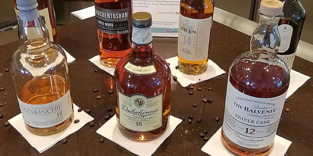 Baltic Sea Cruise Whisky Tasting (Mein Schiff 3 Tui Single Malt Scotch Auchentoshan Lagavulin Balvenie)