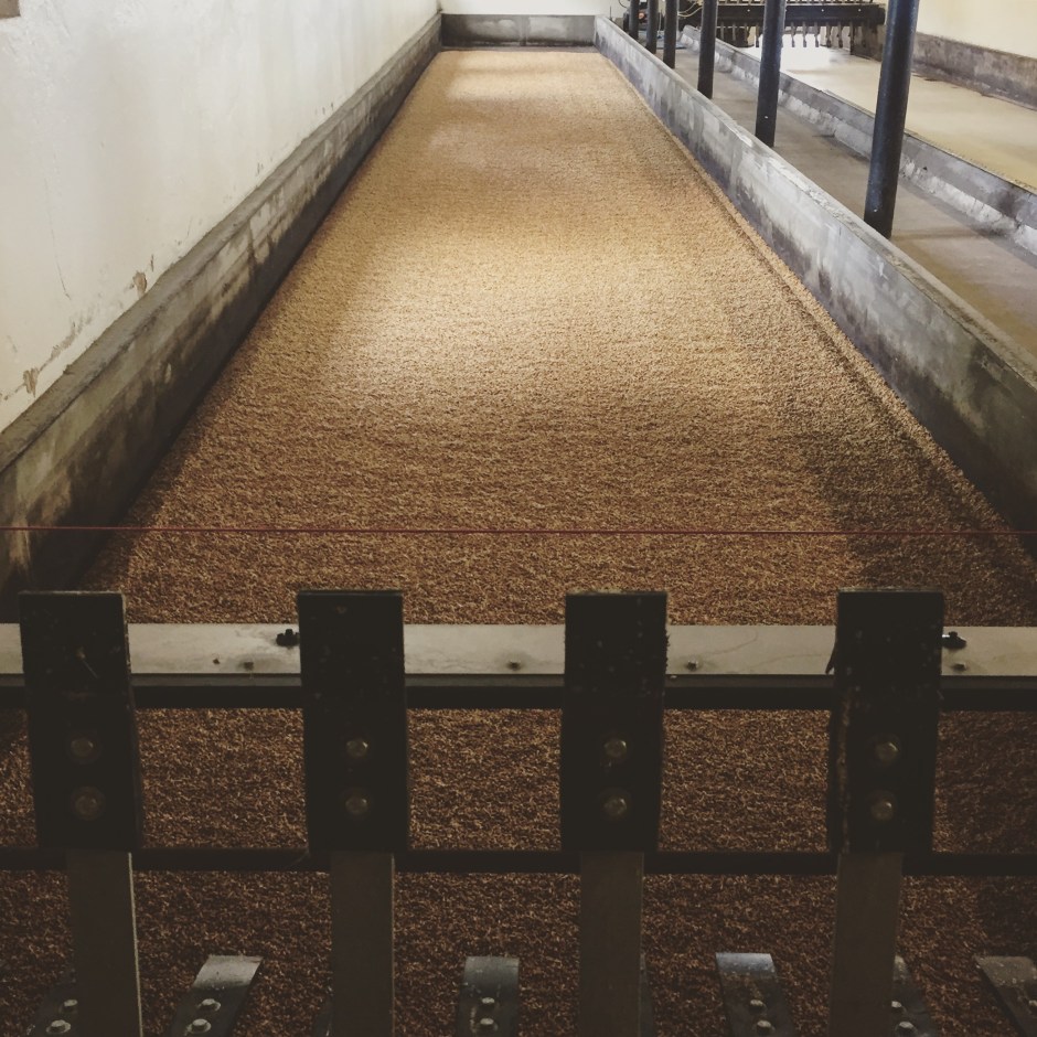 Distillery Tour and Whisky Tasting at Stauning in Denmark (Danish Single Malt Peated Rye Diageo Experience)