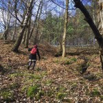 The Six Pillars Tour at The Macallan Distillery (Single Malt Speyside Scotch Whisky Experience)