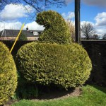 The Six Pillars Tour at The Macallan Distillery (Single Malt Speyside Scotch Whisky Experience)
