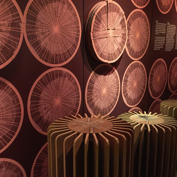 The Six Pillars Tour at The Macallan Distillery (Single Malt Speyside Scotch Whisky Experience)