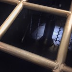 Distillery Tour and Whisky Tasting at Glen Moray (Speyside Single Malt Scotch Visit Experience)