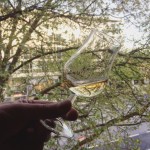 Series 004 by North Star (Single Cask Malt Scotch Whisky Blend Ardbeg Bunnahabhain Vega Islay Royal Brackla Tasting Notes)