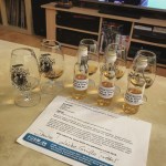 Whisky Blogger Blind Tasting by Friends Of Single Malt (FOSM WhiskyMax Online Event)