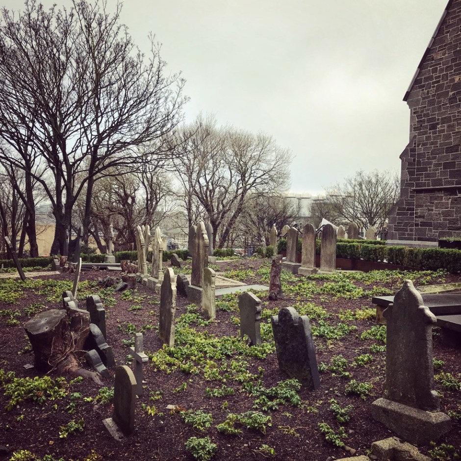 Whiskey Tasting & Premium Tour at Pearse Lyons Distillery in Dublin (Single Malt Irish Dram Event Visit)