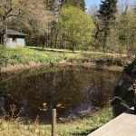 Fary Lochan Distillery in Denmark (Dansk Single Malt Whisky Spirits Tour BarleyMania)