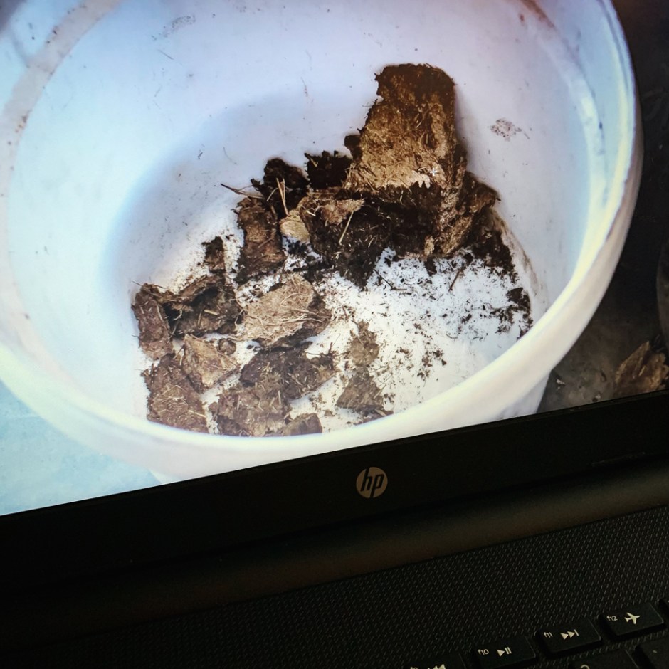 Floki Whisky by Eimverk Distillery on Iceland (Single Malt Whisky Tasting Kirsch Import Blog BarleyMania)