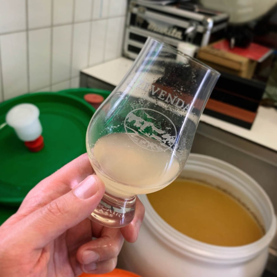 Visiting the Klein Amerika Distillery in the Netherlands (Zevendal single Malt Whisky Micro Brennerei BarleyMania)