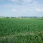 Visiting the Klein Amerika Distillery in the Netherlands (Zevendal single Malt Whisky Micro Brennerei BarleyMania)