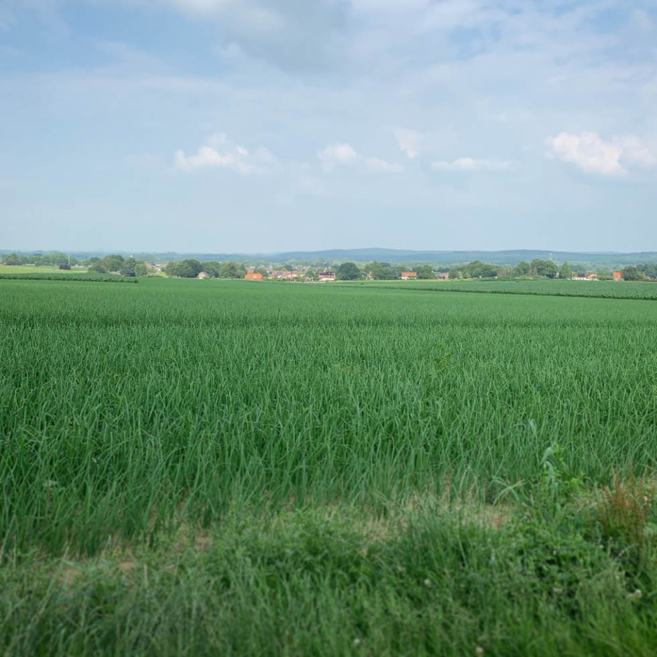 Visiting the Klein Amerika Distillery in the Netherlands (Zevendal single Malt Whisky Micro Brennerei BarleyMania)