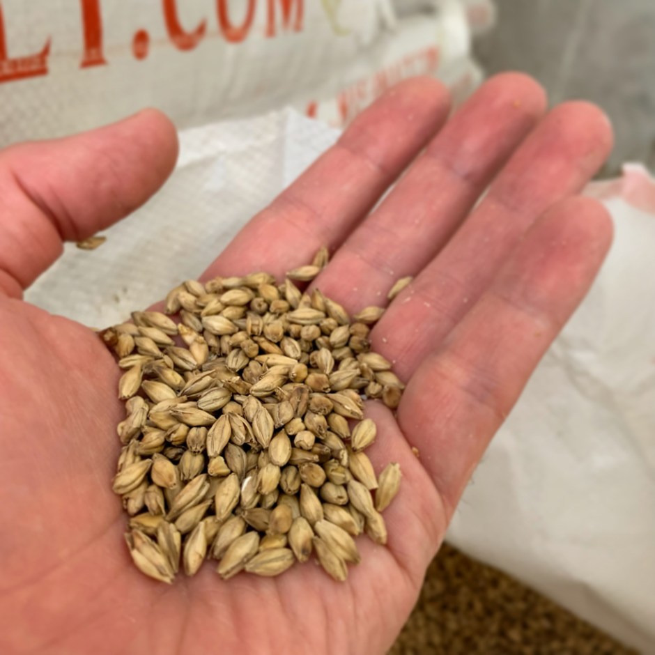 Private Tour at The Nine Springs Distillery and Whisky Welt Burg Scharfenstein (Germany Spirits Visit Production)