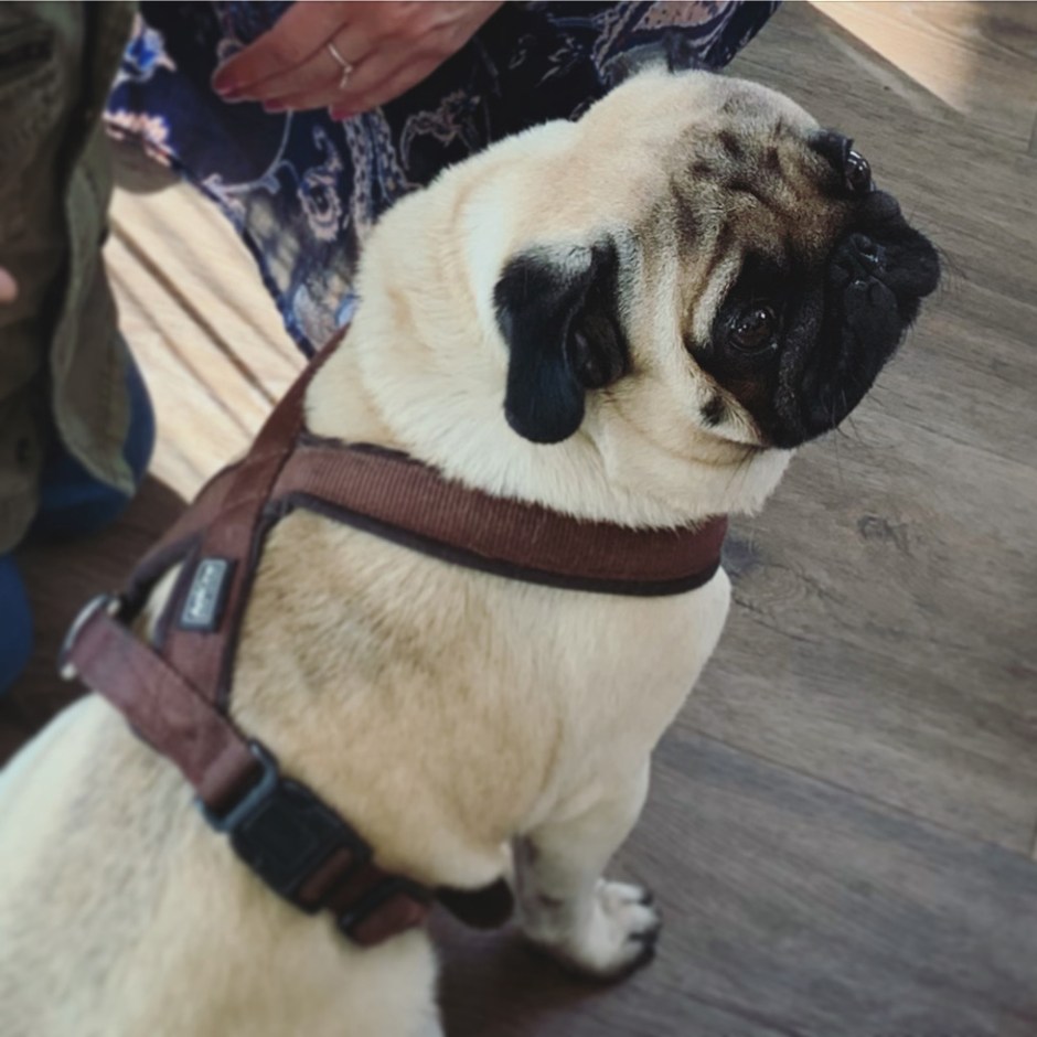 Trolden Distillery & Brewery in Denmark (Single Malt Whisky Craft Beer Tour Tasting BarleyMania)